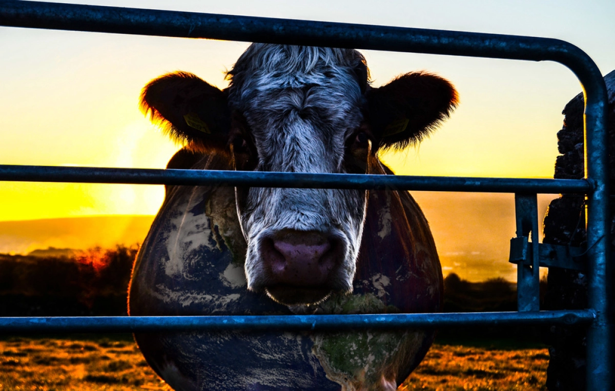 Âm mưu về bò sữa: Bí mật của sự bền vững (Cowspiracy: The Sustainability Secret)