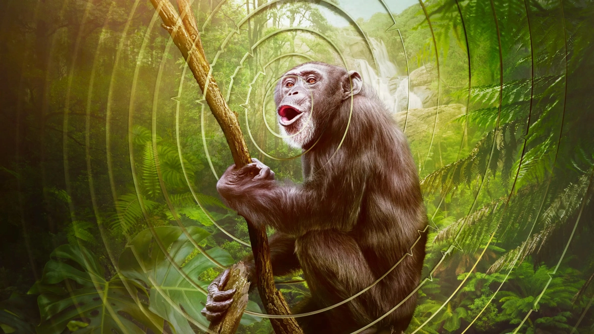 Âm Thanh Của Trái Đất - Earthsounds (Earthsounds)