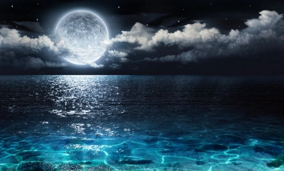 Ánh Trăng (Moonlight)