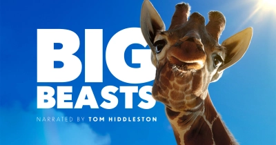 Big Beasts (Những Sinh Vật Phi Thường)
