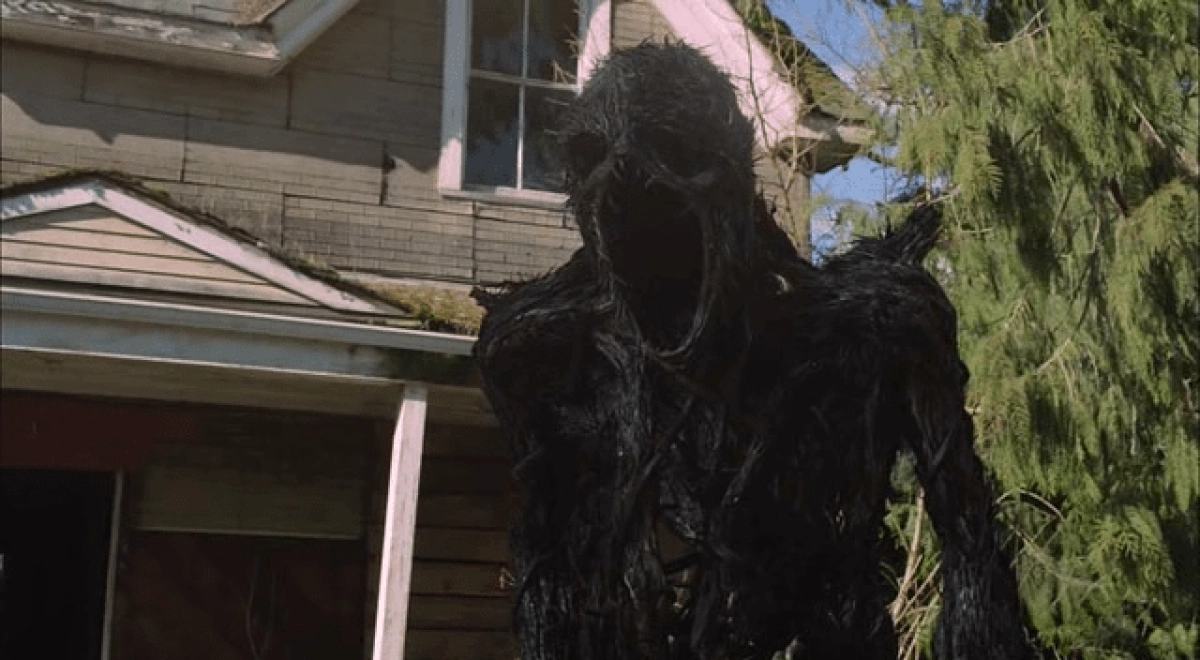 bù nhìn (scarecrow)