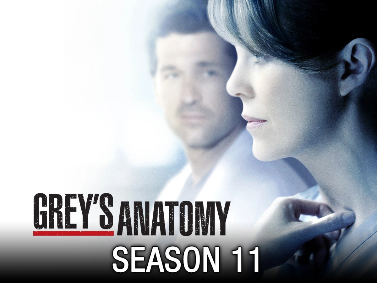 Ca Phẫu Thuật Của Grey (Phần 11) (Grey's Anatomy (Season 11))