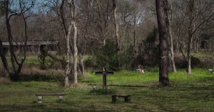 Cánh đồng chết Texas (Texas Killing Fields)