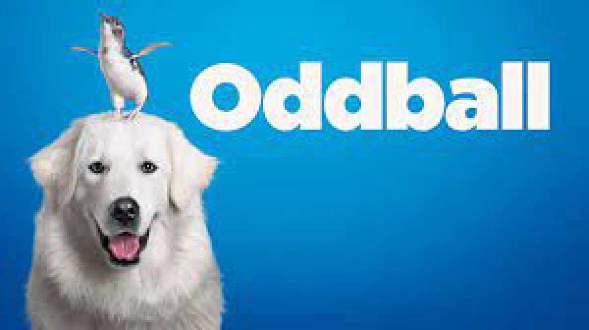 Chú Chó OddBall (Oddball)