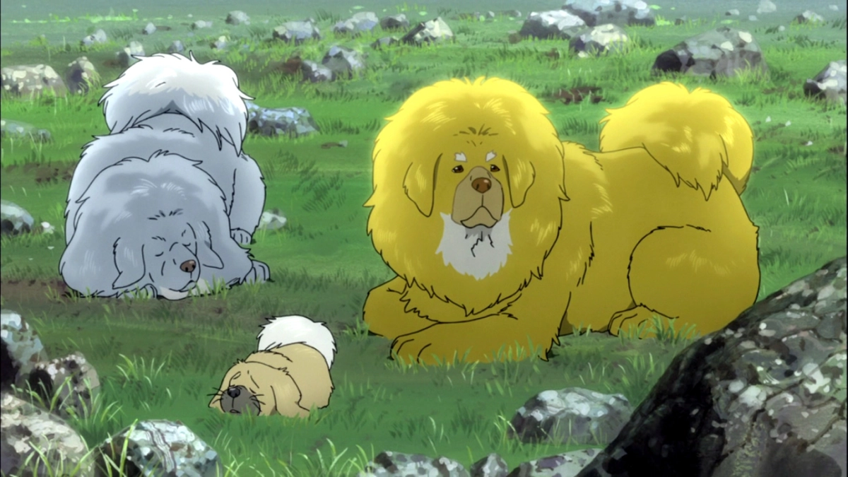 Chú Chó Tây Tạng (The Tibetan Dog)