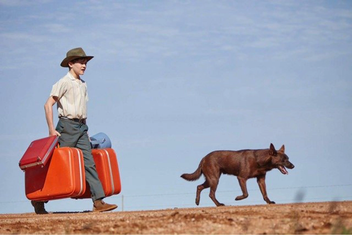 Chú Chó Trung Thành 2 (Red Dog 2: True Blue)