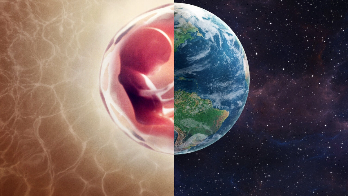 Con người: Thế giới bên trong cơ thể (Human: The World Within)