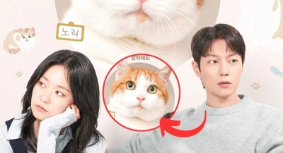 Cuộc Chiến Dành Quyền Nuôi Mèo (냥육권 전쟁)