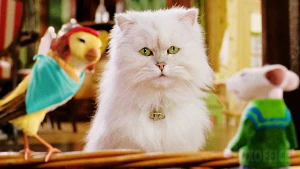 Đại Hiệp Triển Chiêu (Cat and  Mouse)