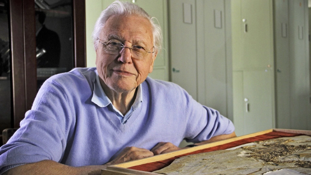 David Attenborough's Rise of Animals: Triumph of the Vertebrates (David Attenborough's Rise of Animals: Triumph of the Vertebrates)