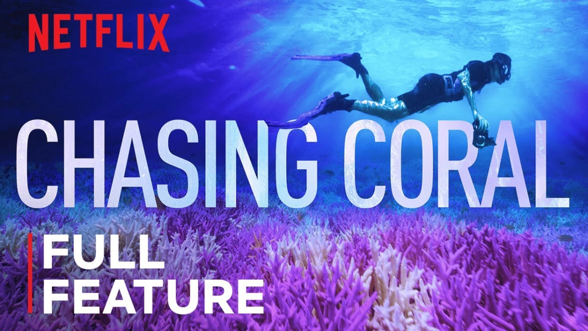 Đi tìm san hô (Chasing Coral)