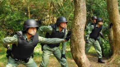 Đơn vị chiến thuật: Comrades in Arms (Tactical Unit: Comrades in Arms)