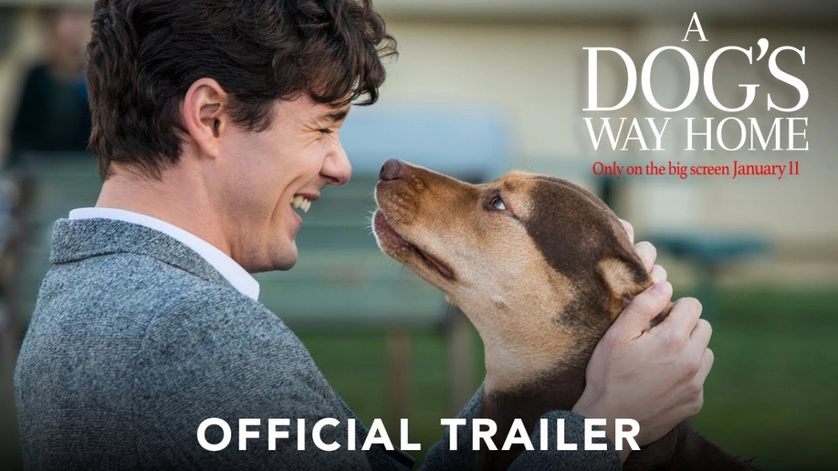 Đường Về Nhà Của Cún Con (A Dog's Way Home)
