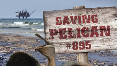 Giải Cứu Chú Bồ Nông Thứ 895 (Saving Pelican 895)