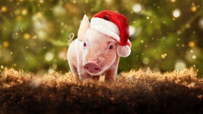 Giáng sinh ở trang trại tầm gửi (Christmas on Mistletoe Farm)