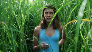 Giữa bụi cỏ cao (In the Tall Grass)