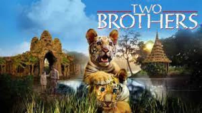 Hai Anh Em Hổ (Two Brothers)