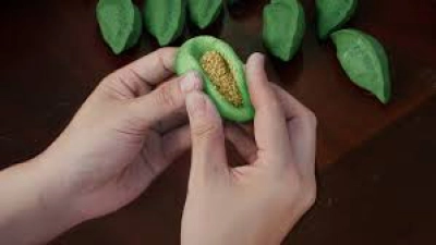 Hàn Quốc: Xứ Sở Bánh Tteok (A nation of tteok)