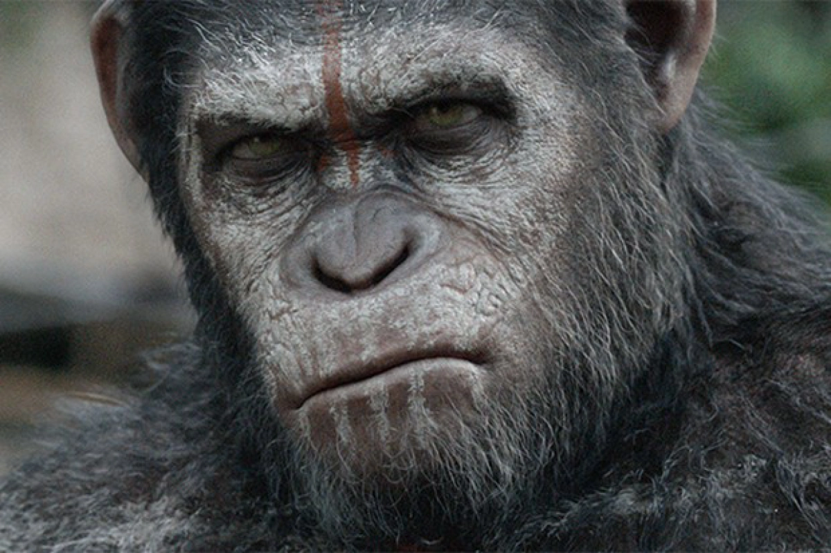 Hành Tinh Loài Khỉ (Planet of the Apes)