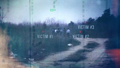 Hiện trường vụ án: Cánh đồng chết ở Texas (Crime Scene: The Texas Killing Fields)
