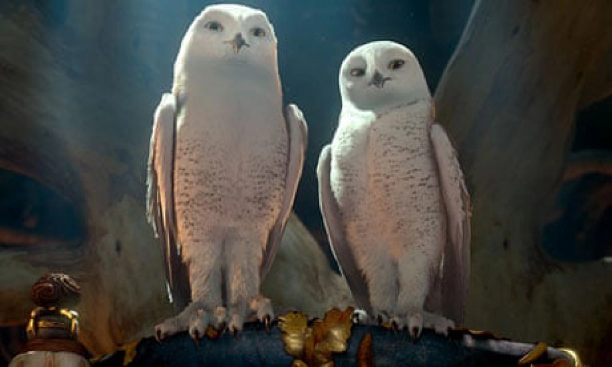Hộ Vệ Xứ GaHoole (Legend Of The Guardians: The Owls Of Ga'Hoole)
