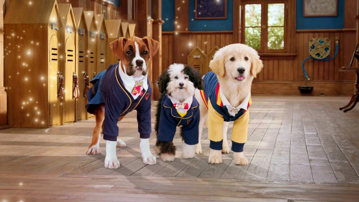 Học viện cún con (Phần 1) (Pup Academy (Season 1))
