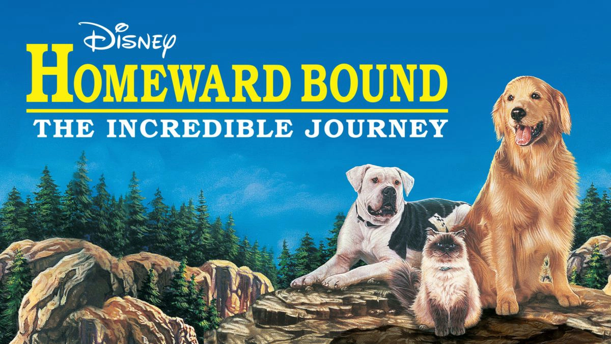 Homeward Bound: The Incredible Journey (Homeward Bound: The Incredible Journey)