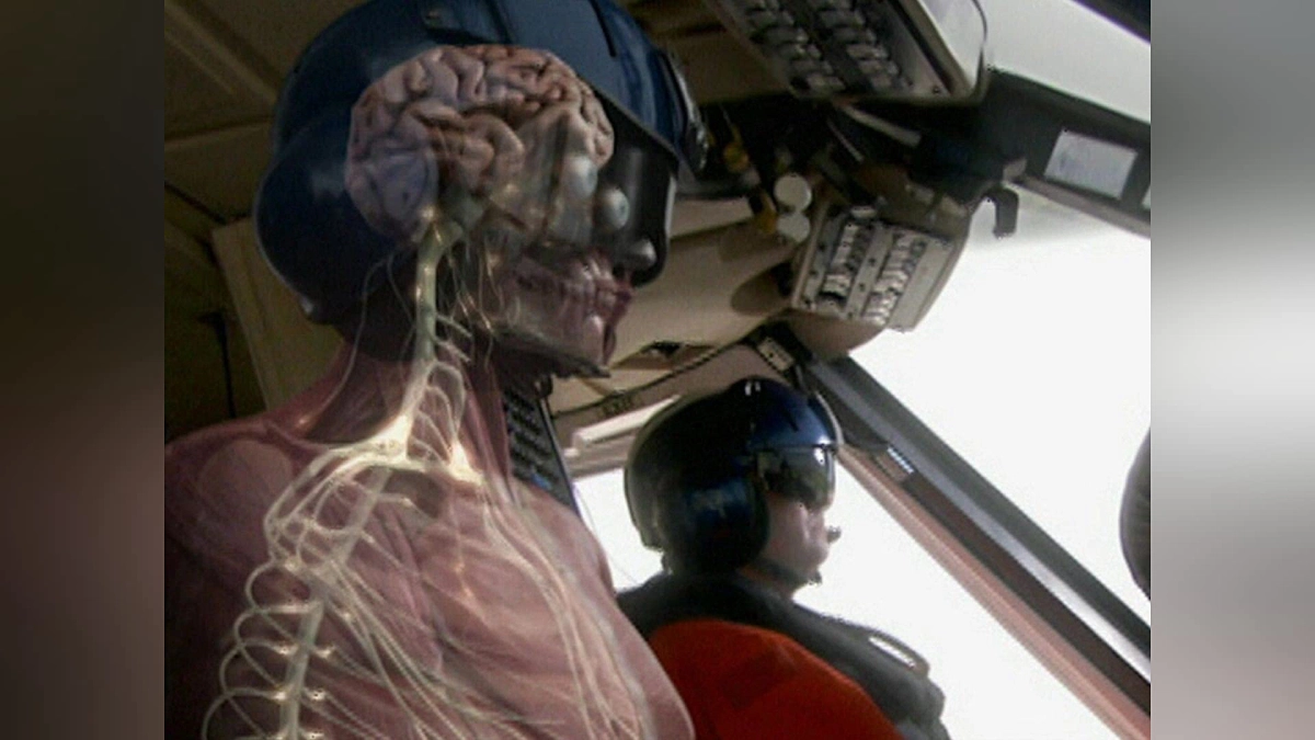 Human Body: Pushing the Limits (Human Body: Pushing the Limits)