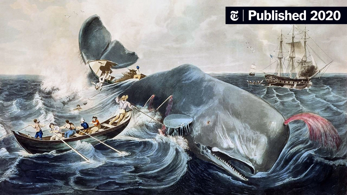 Kẻ Đưa Tin (Moby Dick)