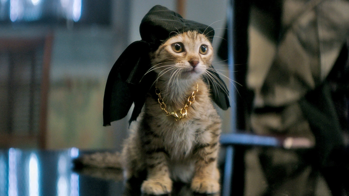 Kế Hoạch Liều Lĩnh (Keanu)