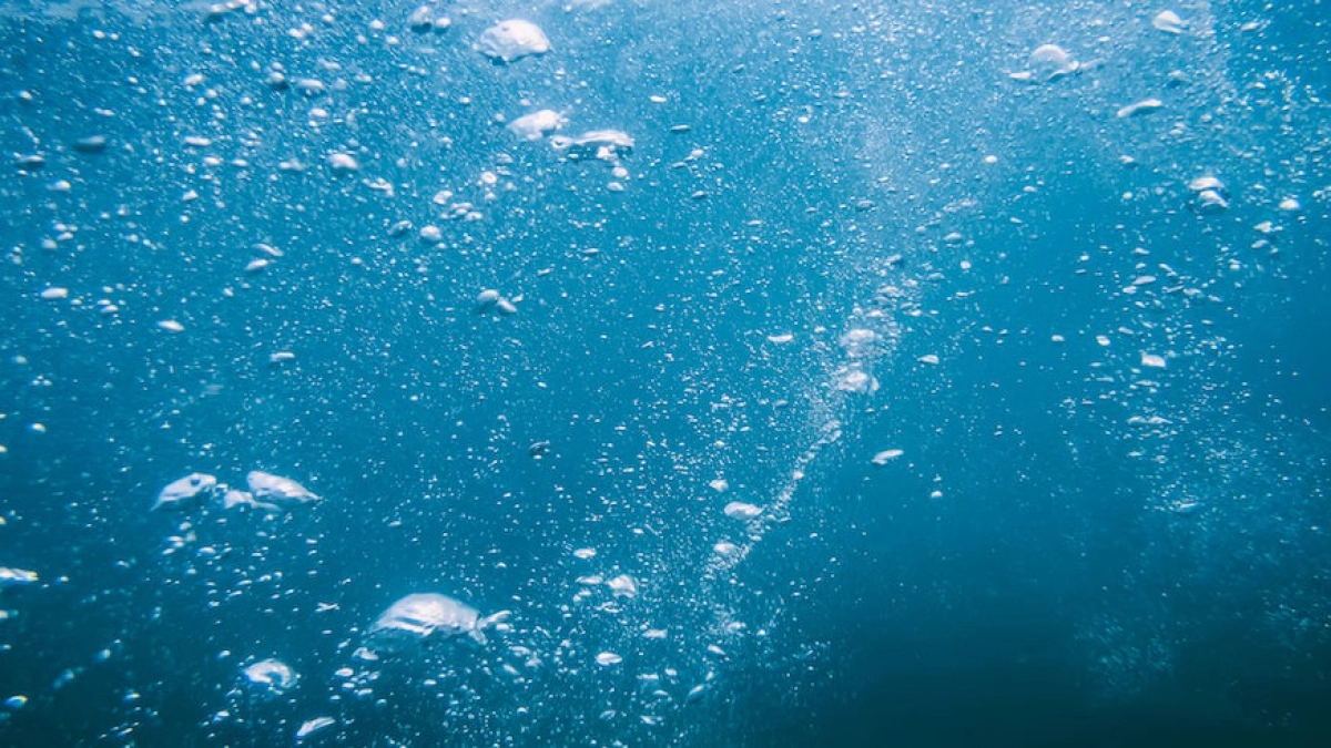 Kẻ Săn Mồi Đáy Biển (Underwater)