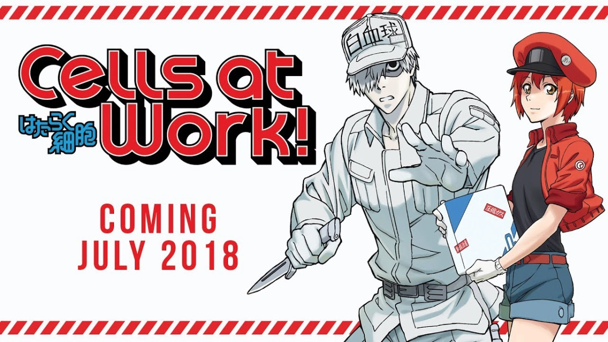 Khi các tế bào làm việc trong cơ thể (Cells at Work!)