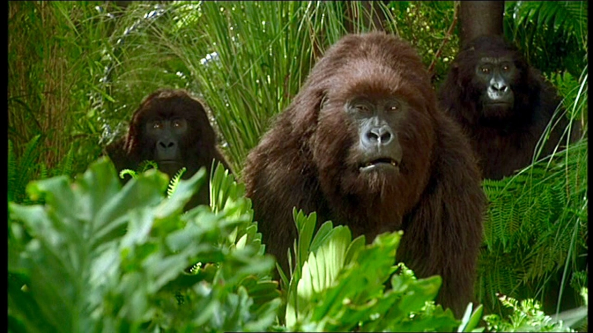 Kho Báu Công Gô (Congo)