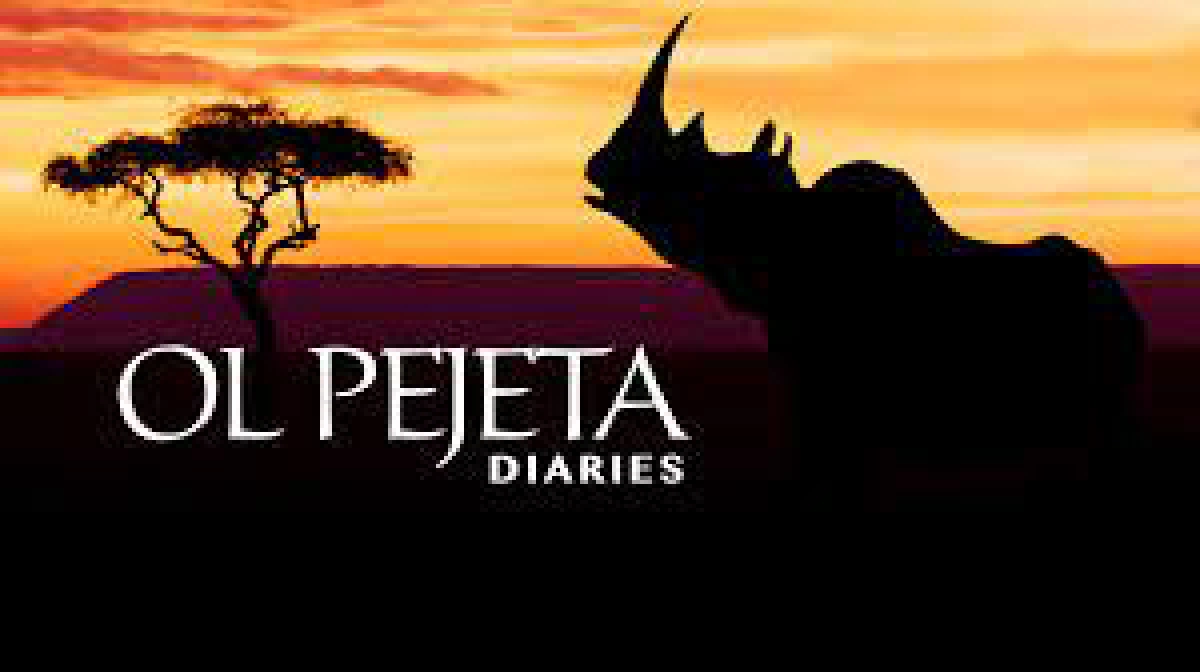 Khu Bảo Tồn Ol Pejeta Châu Phi (Phần 1) (Ol Pejeta Diaries)