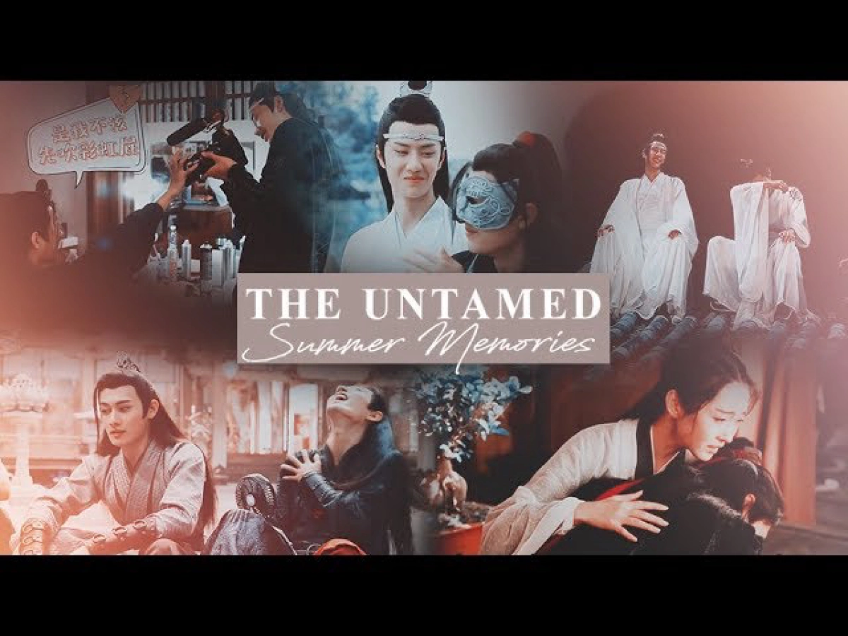 Ký ức ngày hè của Trần Tình Lệnh (The Untamed Summer Memory)