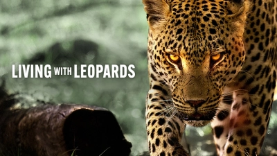 Living with Leopards (Living with Leopards)
