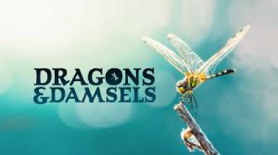 Loài Chuồn Chuồn (Dragons and Damsels)