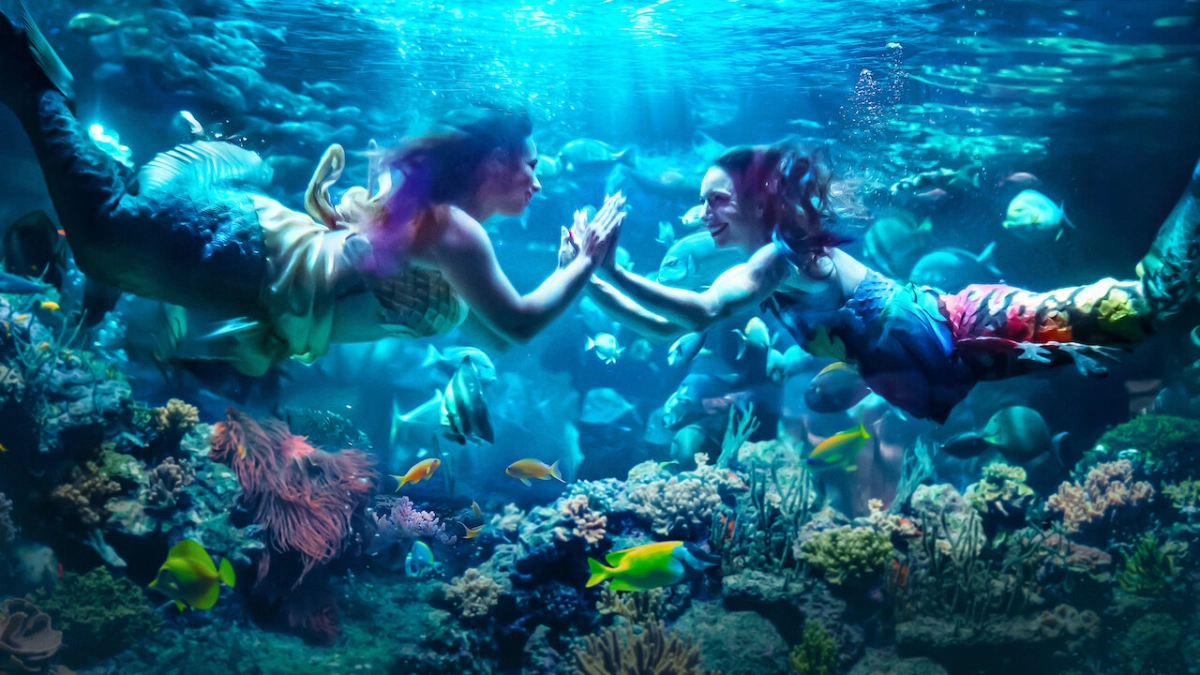 MerPeople: Nghề nhân ngư (MerPeople)
