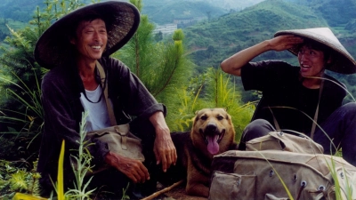 Ngọn Núi Đó, Con Người Đó, Con Chó Đó (Postmen in the Mountains)