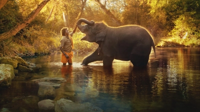 Người chăm voi (The Elephant Whisperers)