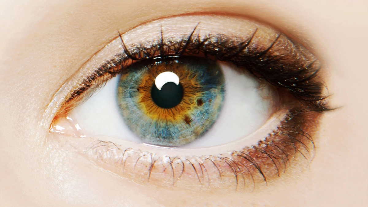Nguồn Gốc (I Origins)