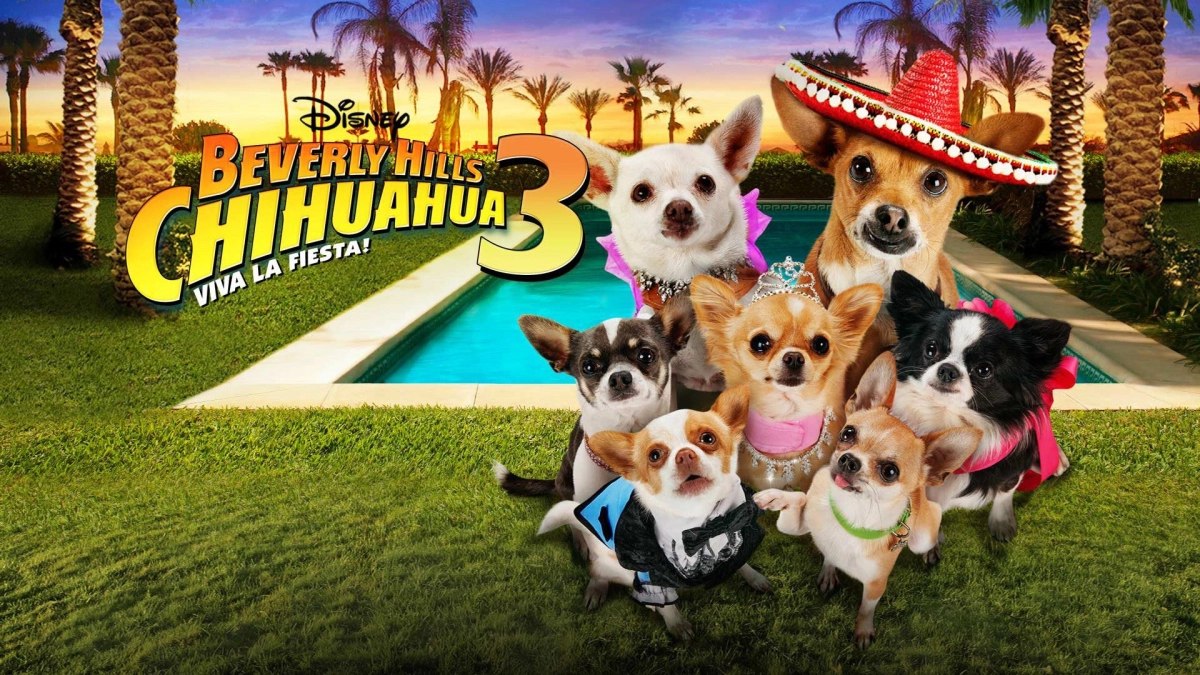 Những Chú Chó Chihuahua 3 (Beverly Hills Chihuahua 3: Viva la Fiesta!)