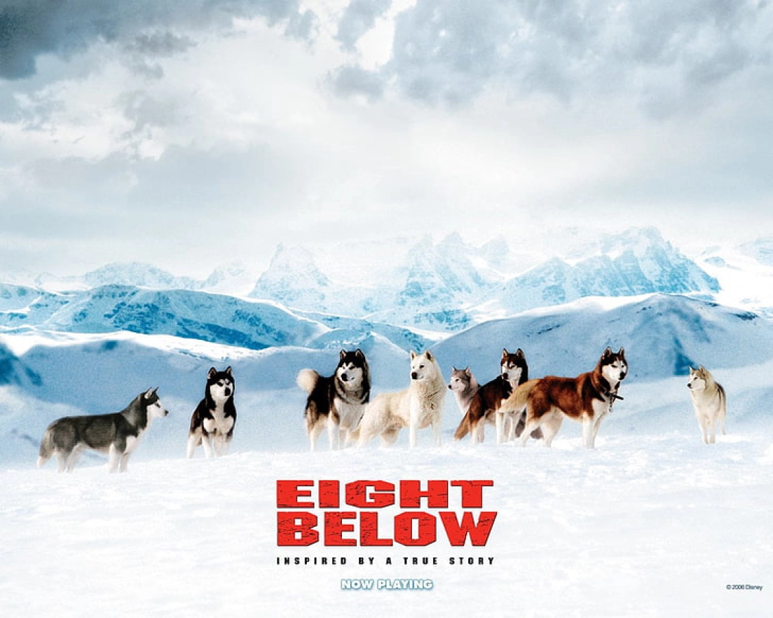 Những Chú Chó Dũng Cảm (Eight Below)