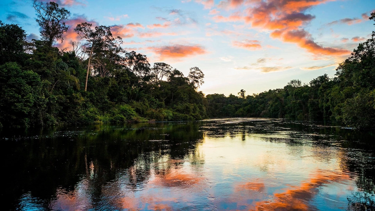 Những Dòng Sông Hùng Vĩ Trên Trái Đất (Earth's Great Rivers)