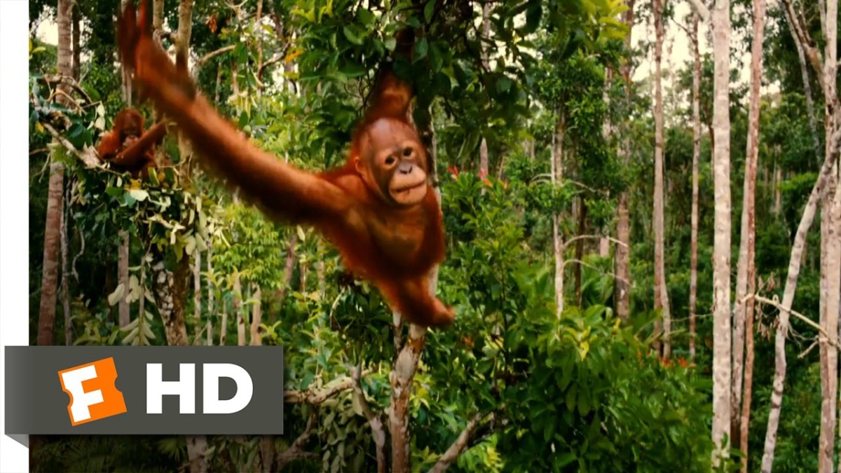 Những Loài Vật Mồ Côi (Born to Be Wild)