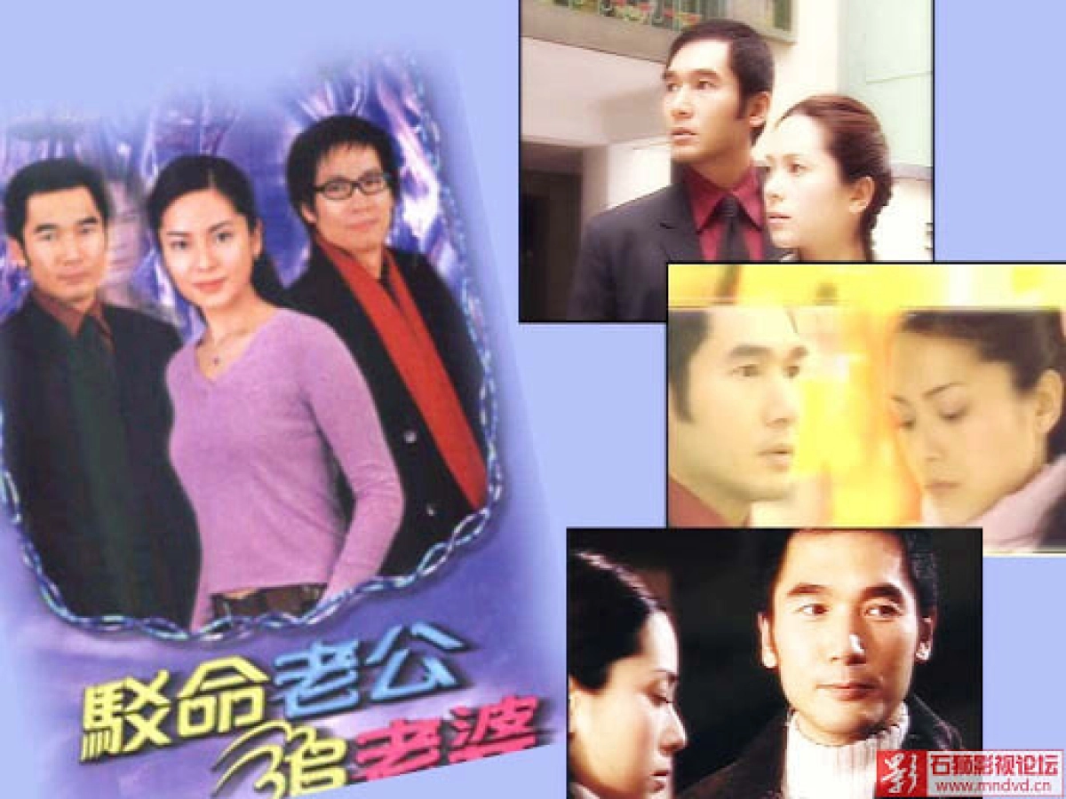 Nối Lại Tình Xưa TVB (Love And Again)