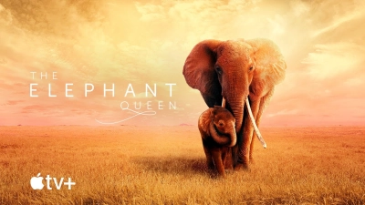 Nữ Hoàng Voi (The Elephant Queen)