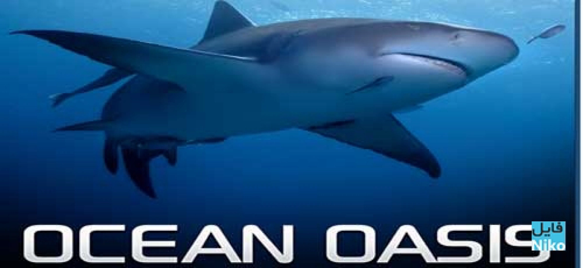 Ốc Đảo Của Đại Dương (Ocean Oasis)