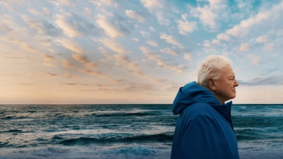 Ocean with David Attenborough (Ocean with David Attenborough)