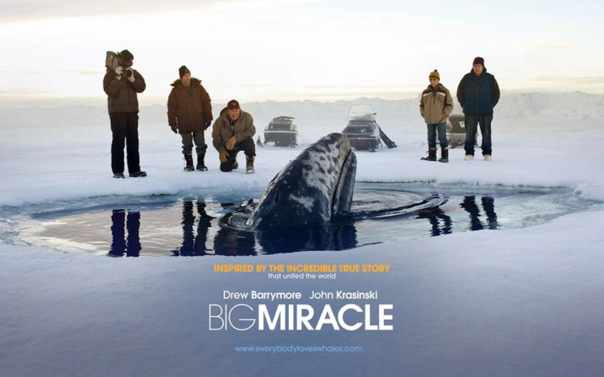 Phép Màu (Big Miracle)